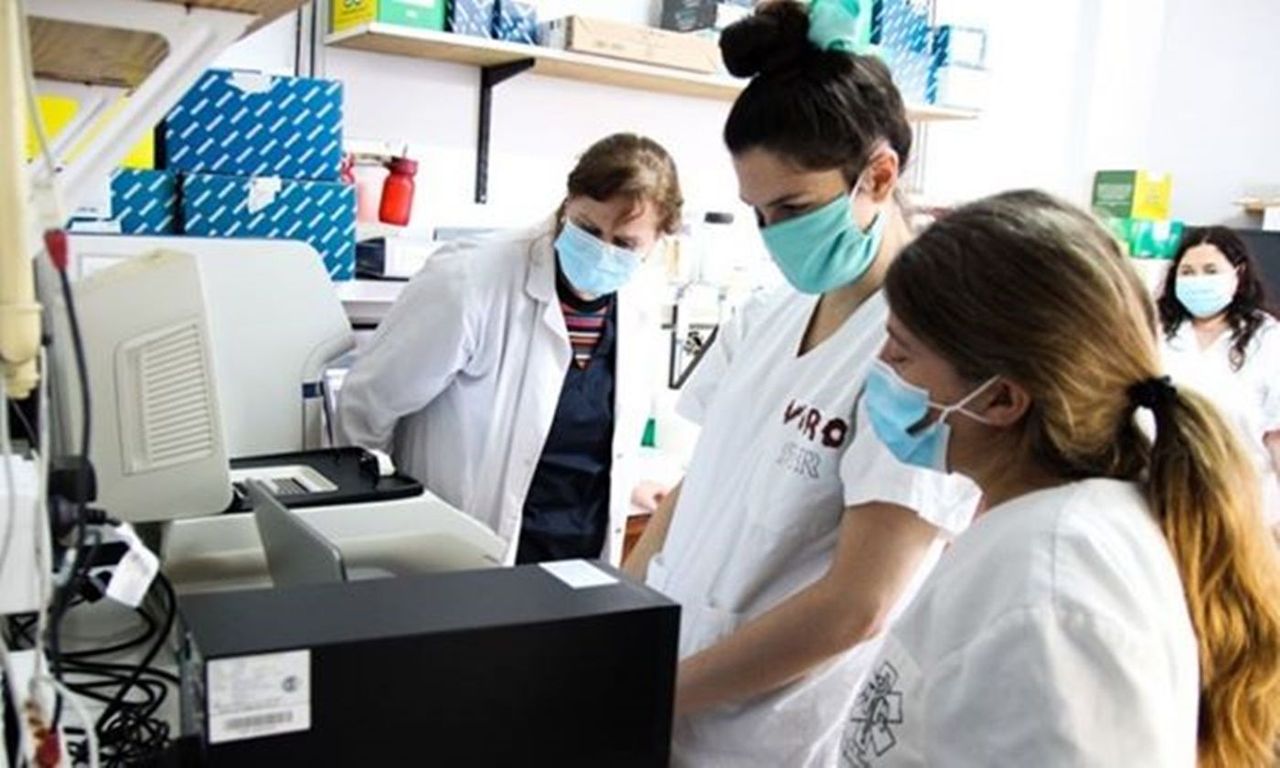 Coronavirus: ascienden a 520 los muertos y