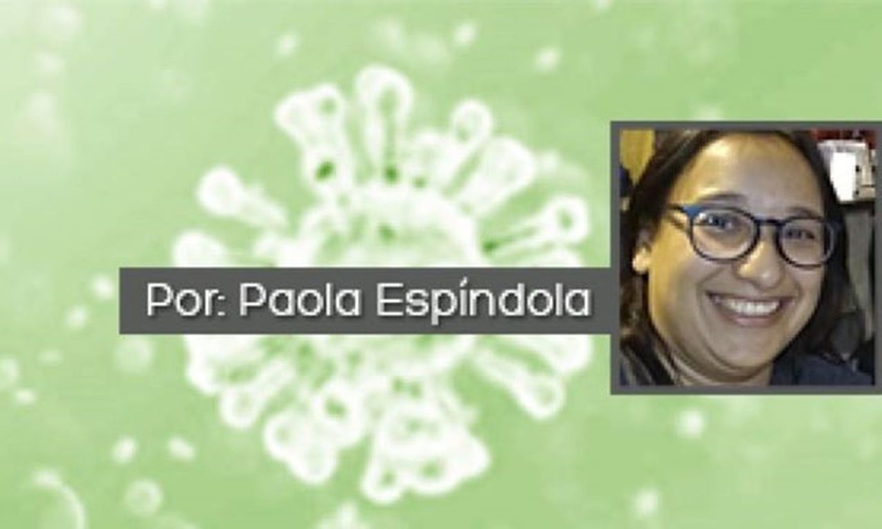 De Zoom en Zoom